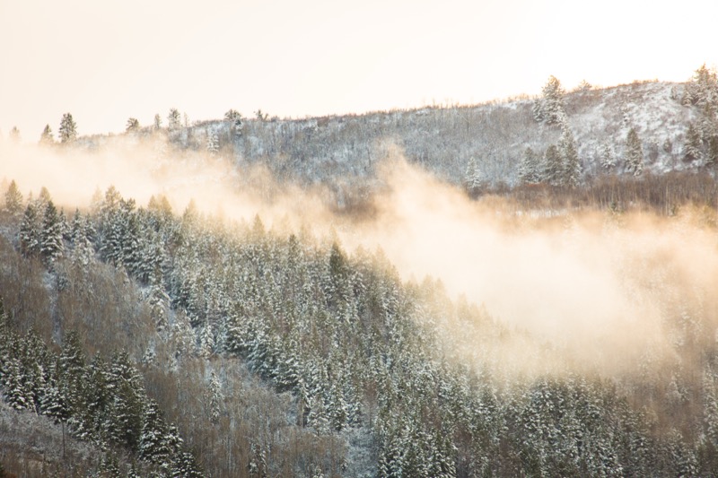 20151106-GC1A0004.jpg